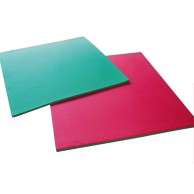 Tatami Pilates Fitness Panel 100x100cm