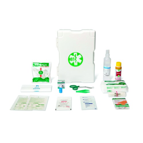 Boxes and Cabinets - Complete First Aid Cabinet In Rc 1/p