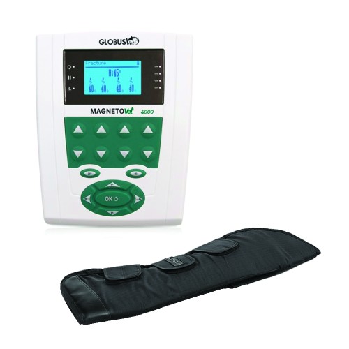 Magnetotherapy - Magnetovet 4000 Horse Magnetotherapy Kit And Hindlegs