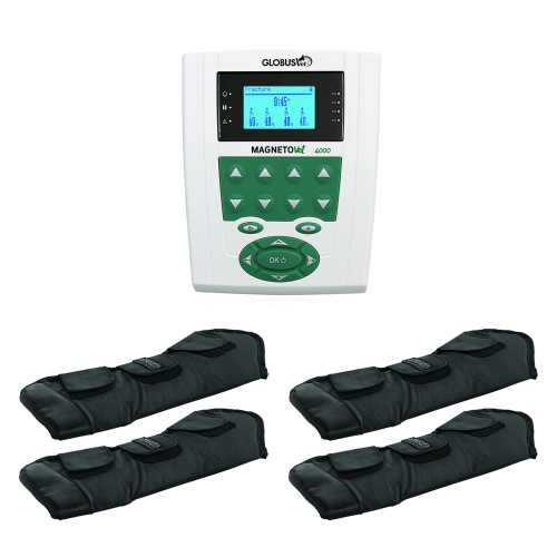 Magnetotherapy - Veterinary Magnetotherapy Horse Pro With 4 Leg Warmers