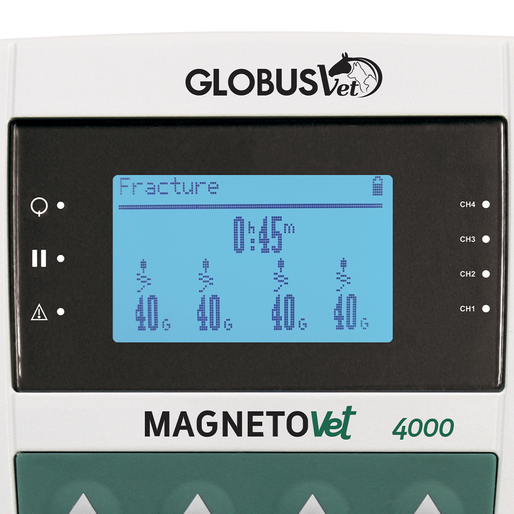 Magnetotherapy - Globus Magnetoterapia Veterinaria Magnetovet 4000 Portatile	Professionale