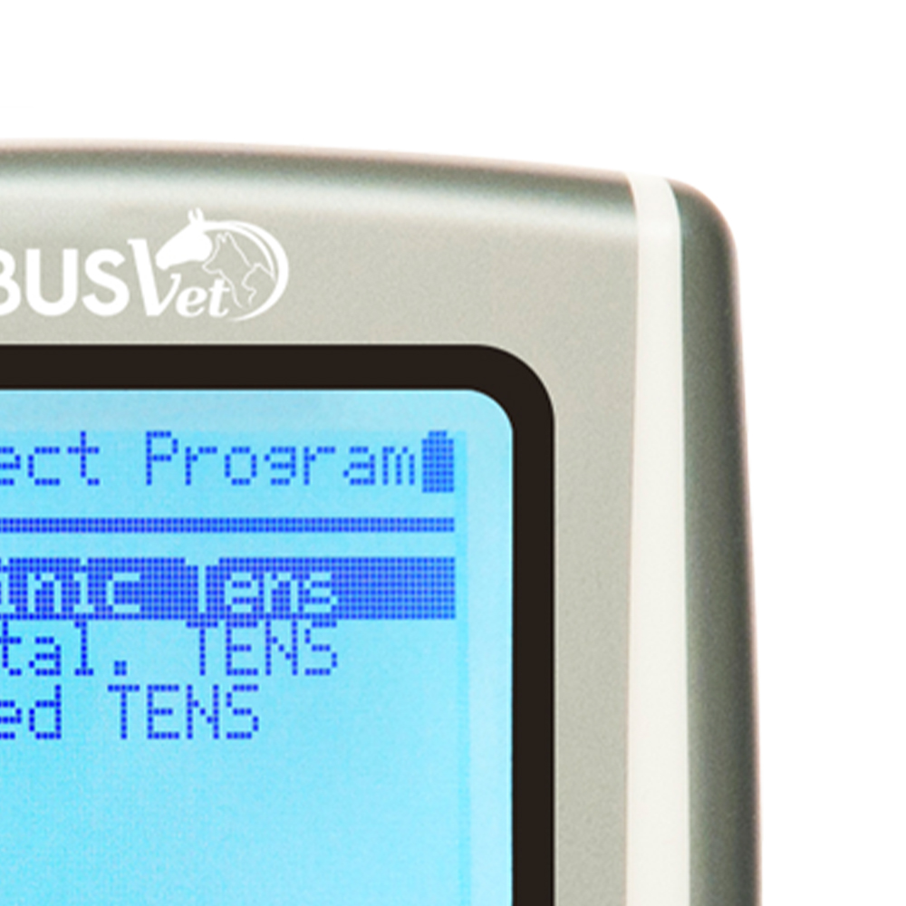 Electrostimulators - Globus Veterinary Electrostimulator Stimvet 200 Rehabilitation Dog Cat