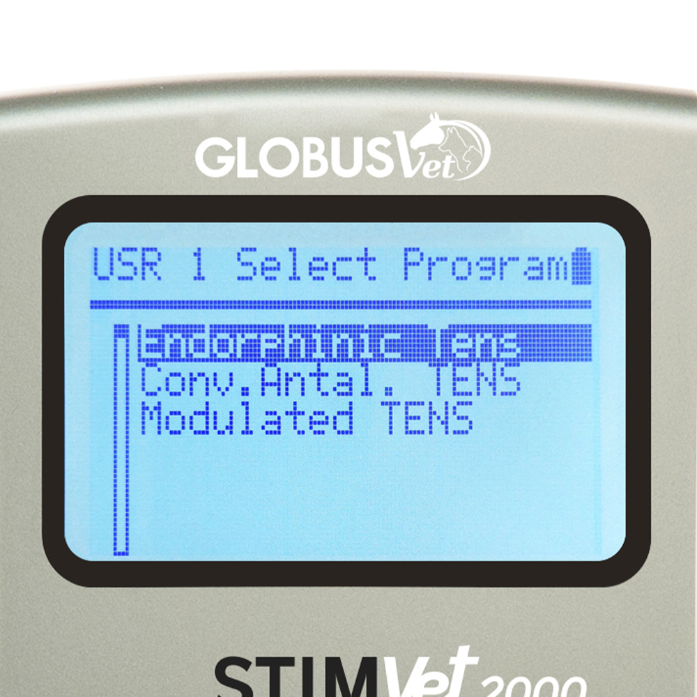 Electrostimulators - Globus Elettrostimolatore Veterinario Stimvet 2000 Riabilitazione Cane Gatto Cavallo