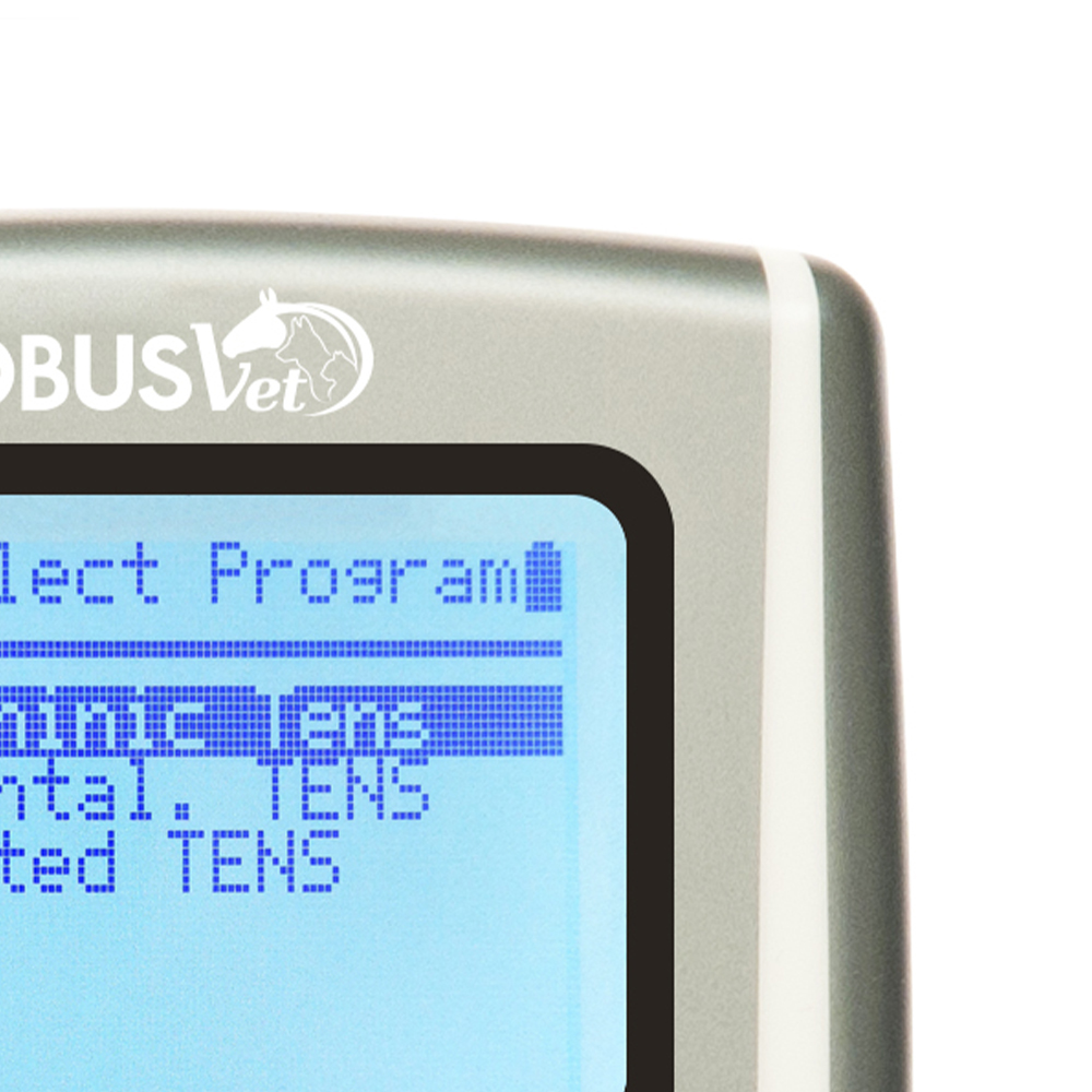 Electrostimulators - Globus Elettrostimolatore Veterinario Stimvet 2000 Riabilitazione Cane Gatto Cavallo