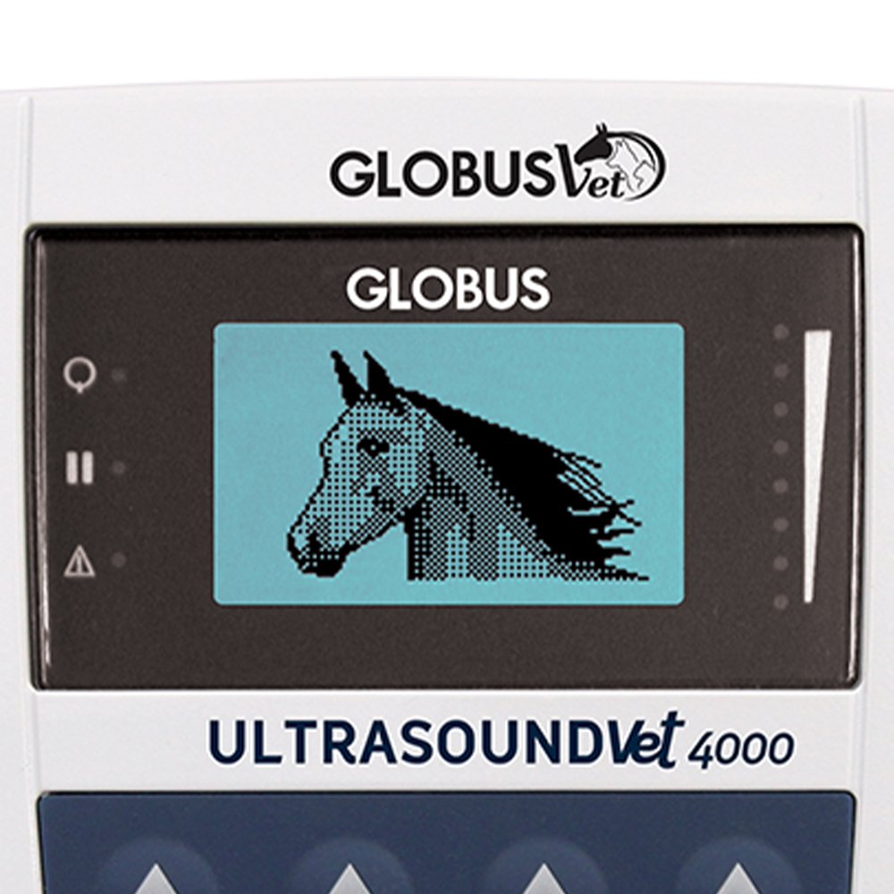 Ultrasound - Globus Professional Veterinary Ultrasound Ultrasoundvet 4000