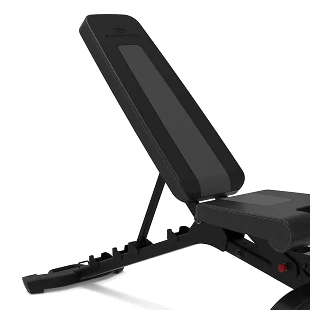 Gymnastic Benches - Bowflex Panca Regolabile 4.1 S Piana Inclinata Declinata Abdominal