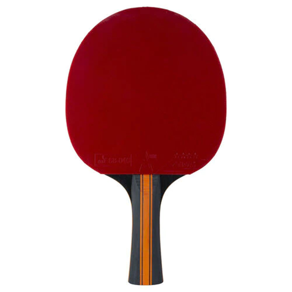 Ping Pong rackets - Stiga Vision Wrb Table Tennis Racket