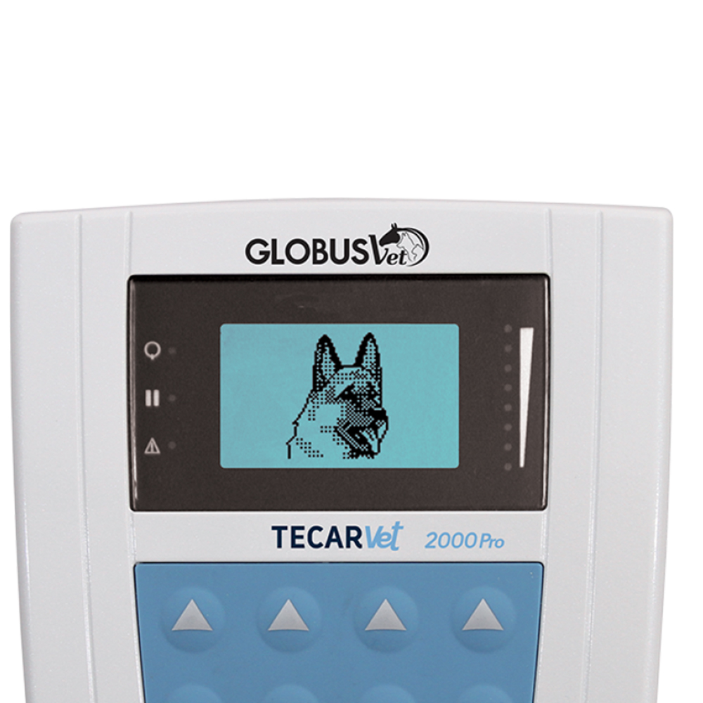 Tecartherapy/Radiofrequency - Globus Professional Veterinary Tecartherapy Tecarvet 2000 Portable