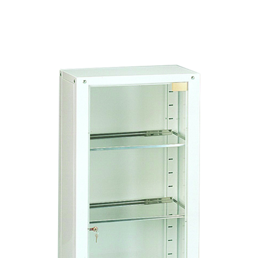 Clinic furniture - Skema Showcase Cabinet 1 Door 3 Shelves In Stainless Steel 53x36x144h