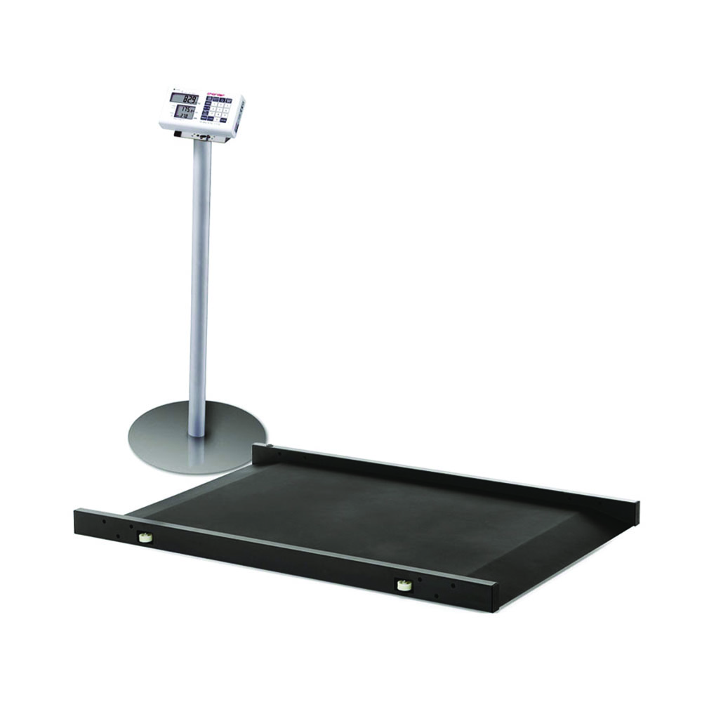 Scales - Skema Base For Platform Scale Display