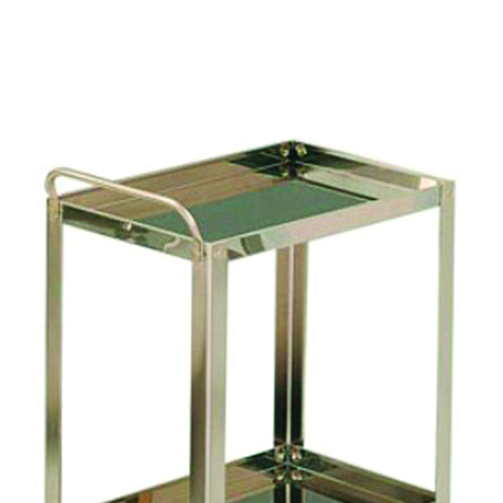 Sanitary trolleys - Skema Stainless Steel Trolley For Dressing 70x50x80h 2 Shelves