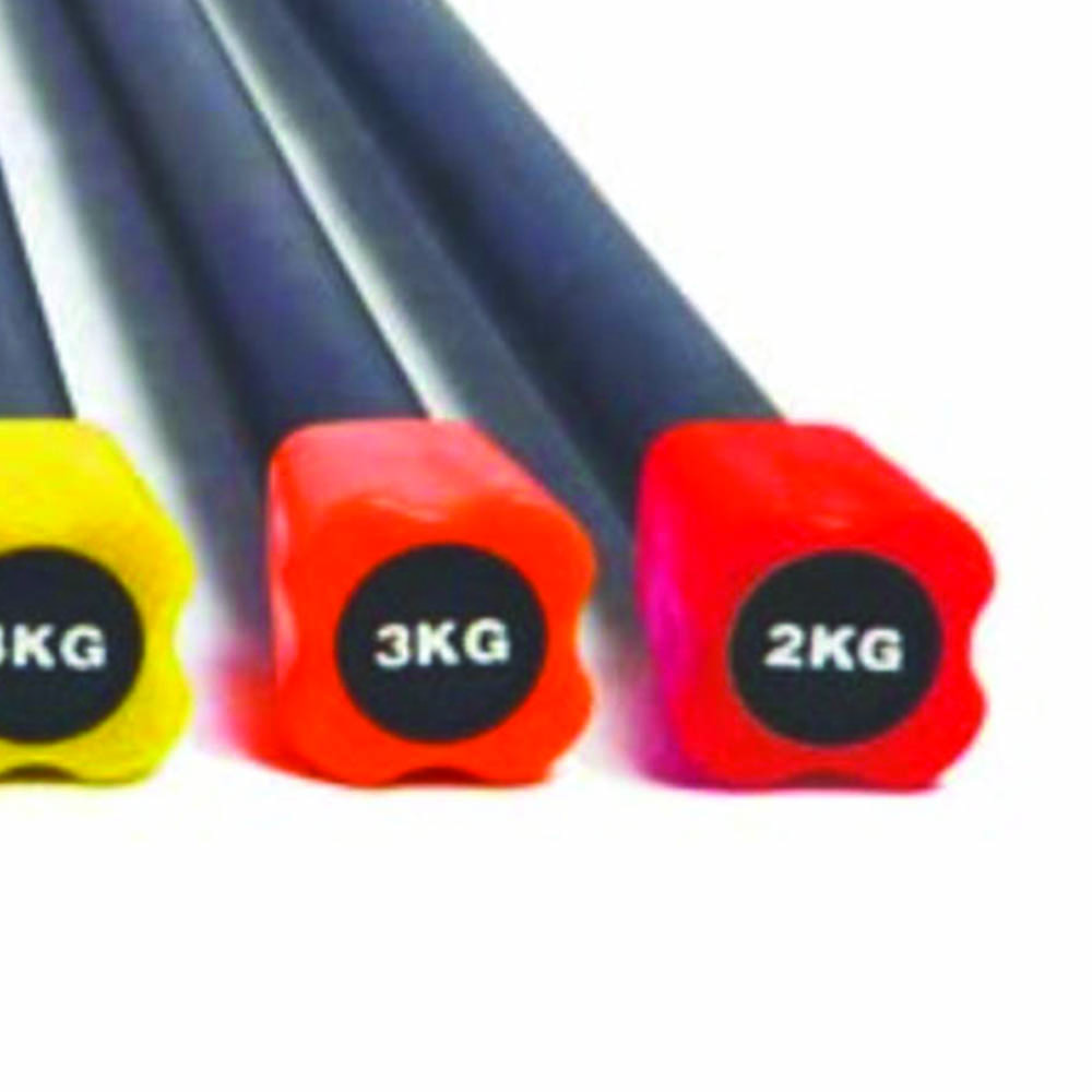 Functional Training - Toorx Body Bar Total Body Workout And Functional Training