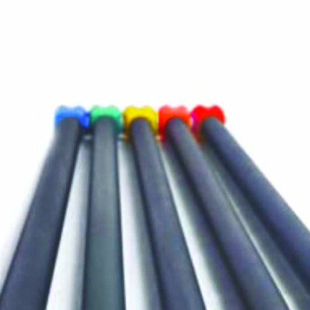 Functional Training - Toorx Body Bar Total Body Workout And Functional Training