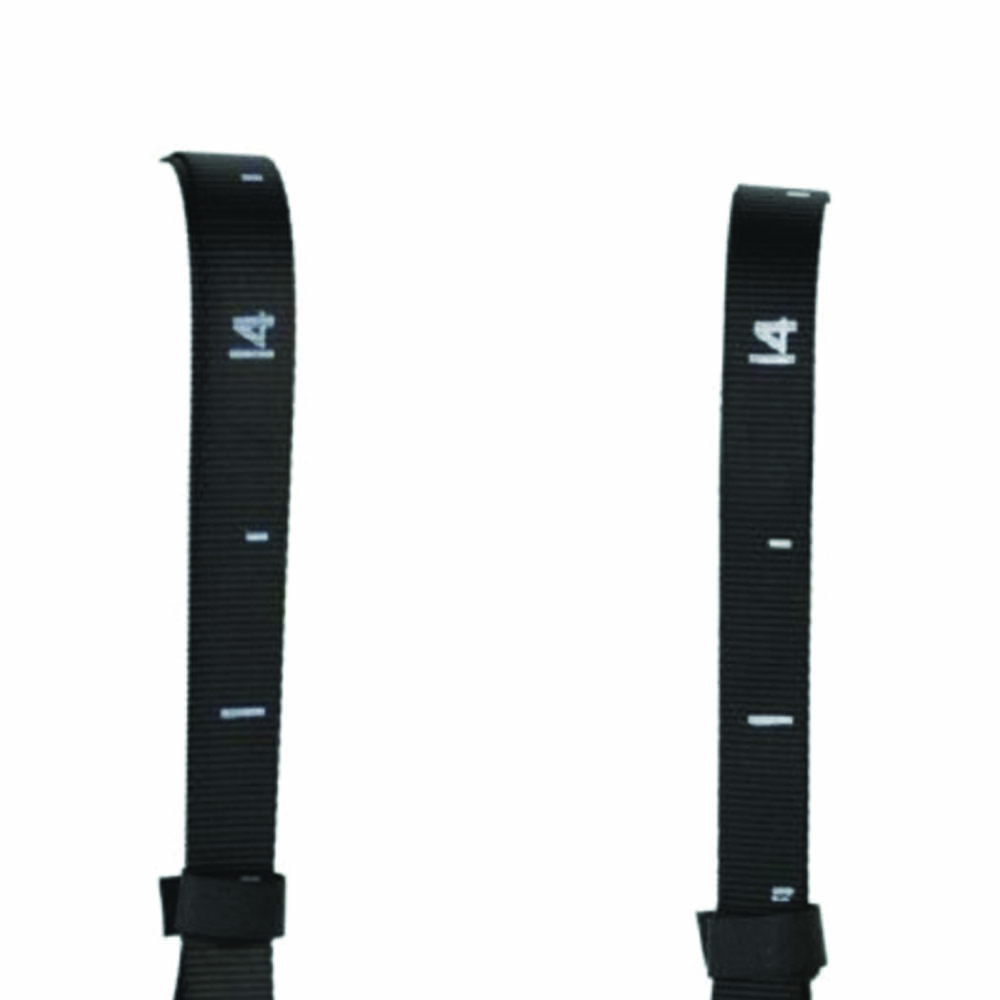 Functional Training - Toorx Pair Of Gymnastic Rings In Beech Wood With Adjustable Nylon Straps