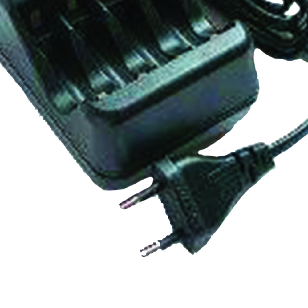 Accessori Elettrostimolatori - Globus Caricabatterie Per Stilo Aa-aaa (solo Per Duo Pro)