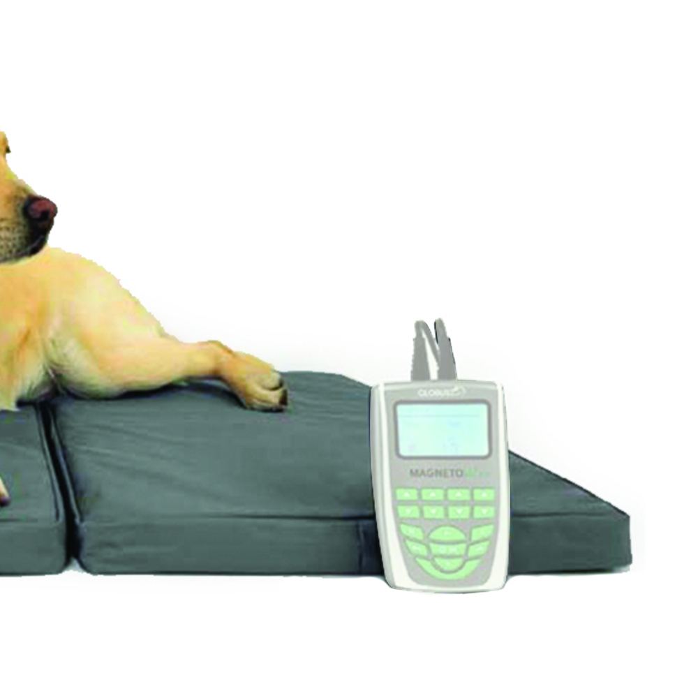 Magnetotherapy accessories - Globus Veterinary Therapeutic Kennel 44x70mm With 4 Coils