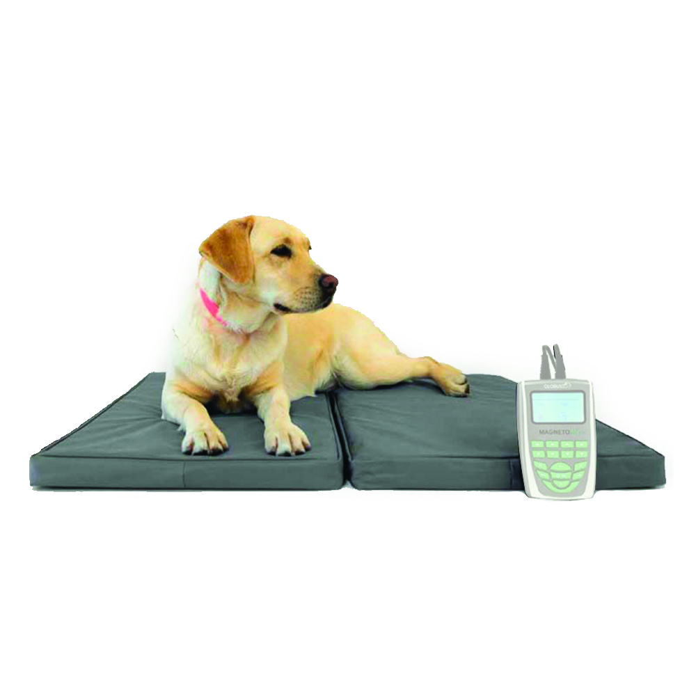 Magnetotherapy accessories - Globus Veterinary Therapeutic Kennel 44x70mm With 4 Coils