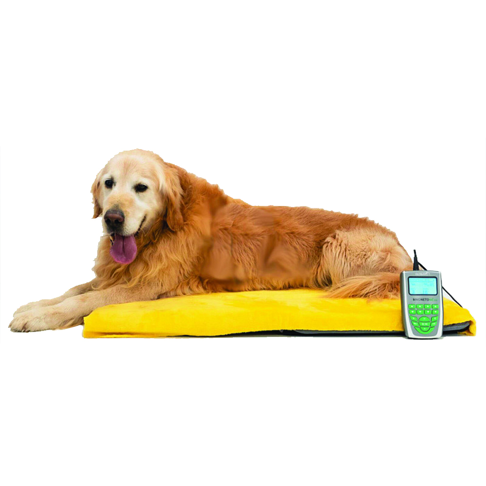 Magnetotherapy - Globus Veterinary Magnetotherapy Magnetovet 200 With Portable Kennel