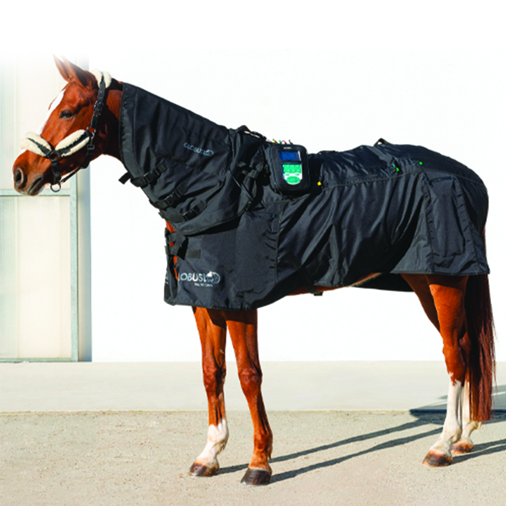 Magnetotherapy accessories - Globus Therapeutic Blanket For Horse Magnetotherapy Without Solenoids