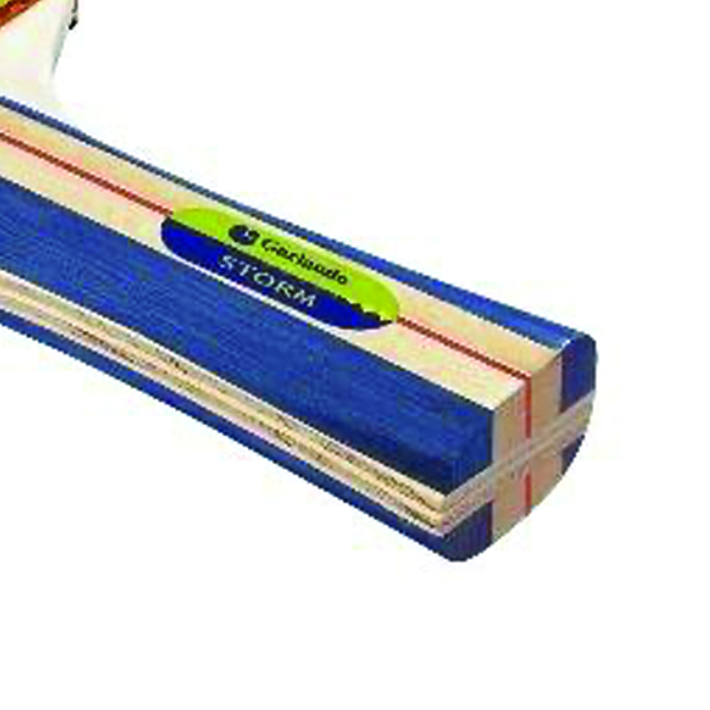 Ping Pong Accessories - Garlando Racchetta Tennis Da Ping Pong Storm 2 Stelle+ Approvata Ittf