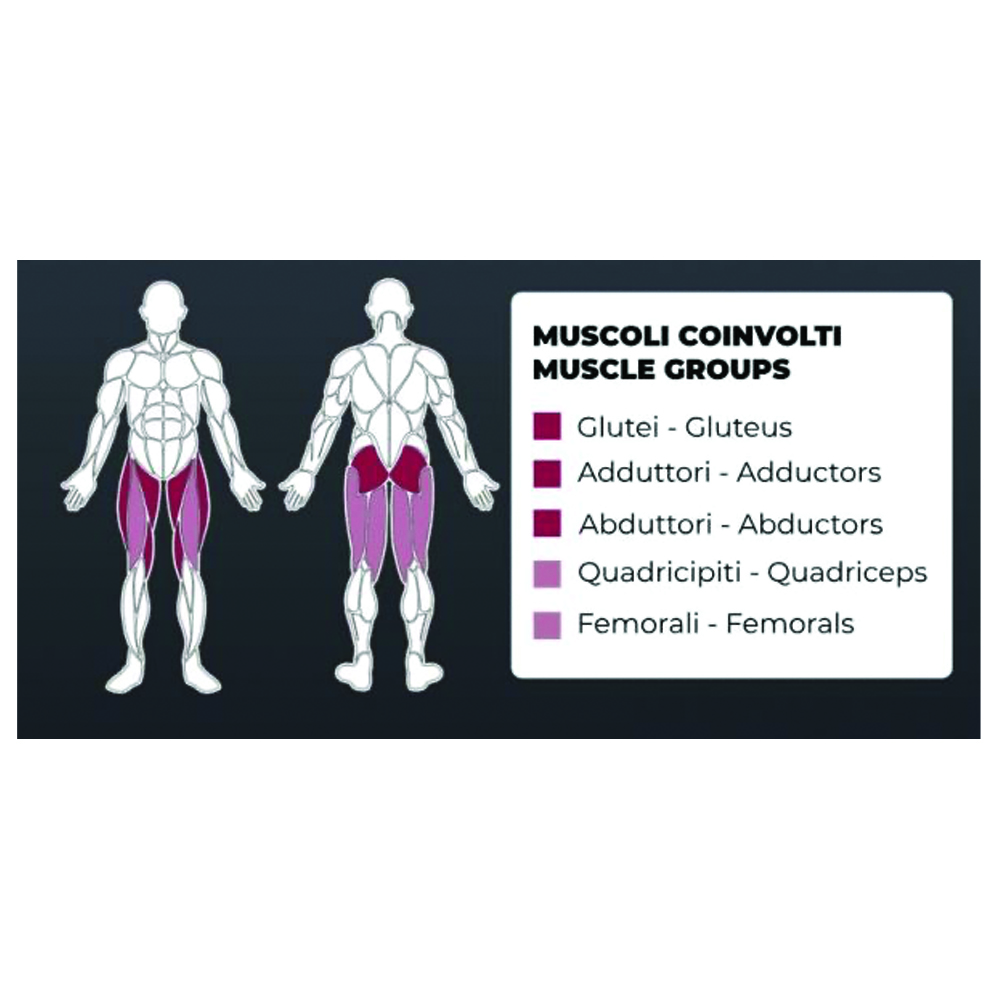 Multifunction Stations - Toorx Abductor/adductor Plx 5400 Multifunction Isotonic Station 80kg Weight Stack
