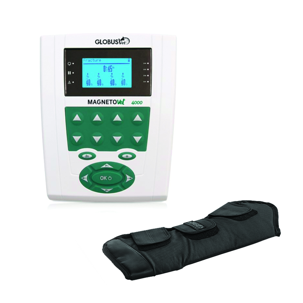 Magnetotherapy - Globus Magnetovet 4000 Horse Magnetotherapy Kit And Front Legs