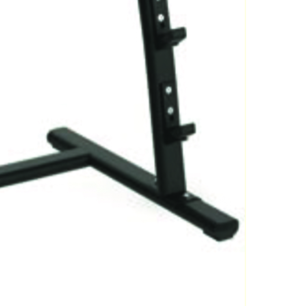 Barbell Rack - Toorx Preloaded Barbell Rack 5 Places Gym Training