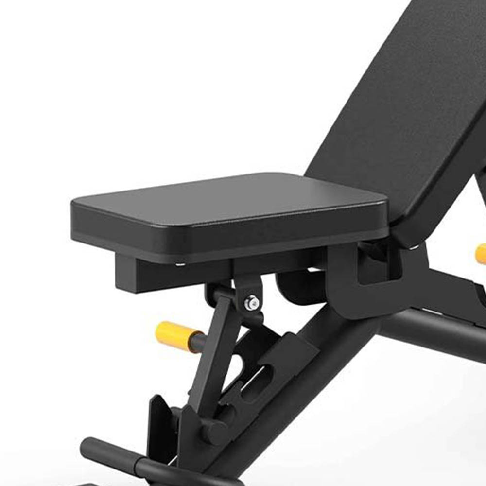 Gymnastic Benches - Horizon Fitness Hbn50 Adjustable Training Bench