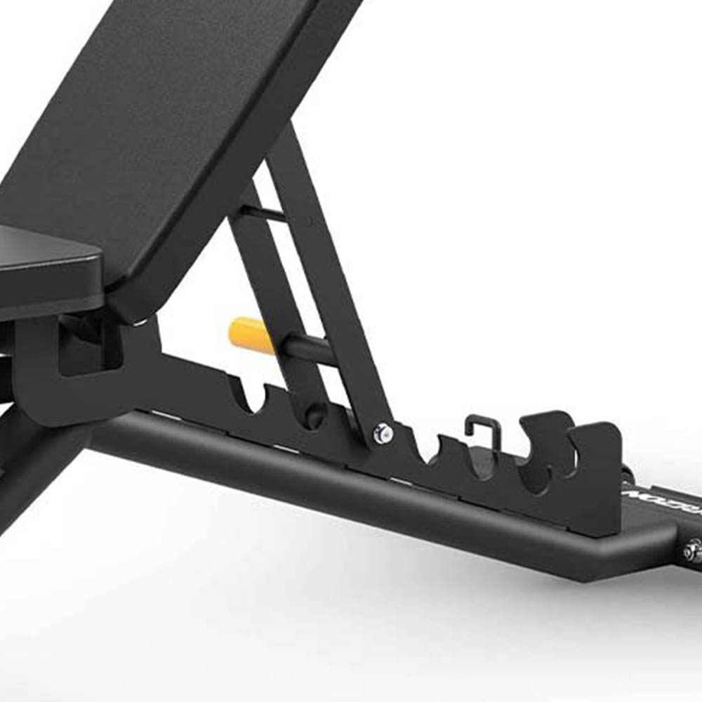 Gymnastic Benches - Horizon Fitness Hbn50 Adjustable Training Bench