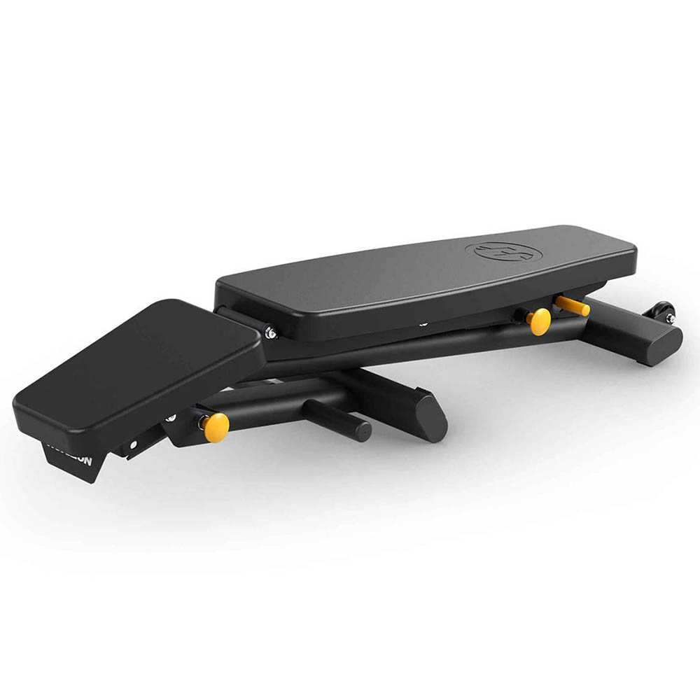 Gymnastic Benches - Horizon Fitness Hbn30 Adjustable Folding Gym Bench