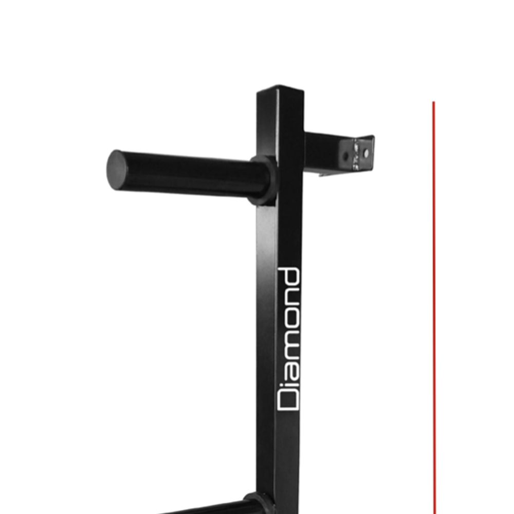 Rack de pesas y mancuernas - Diamond Rack De Discos De Pared Con 4 Posiciones