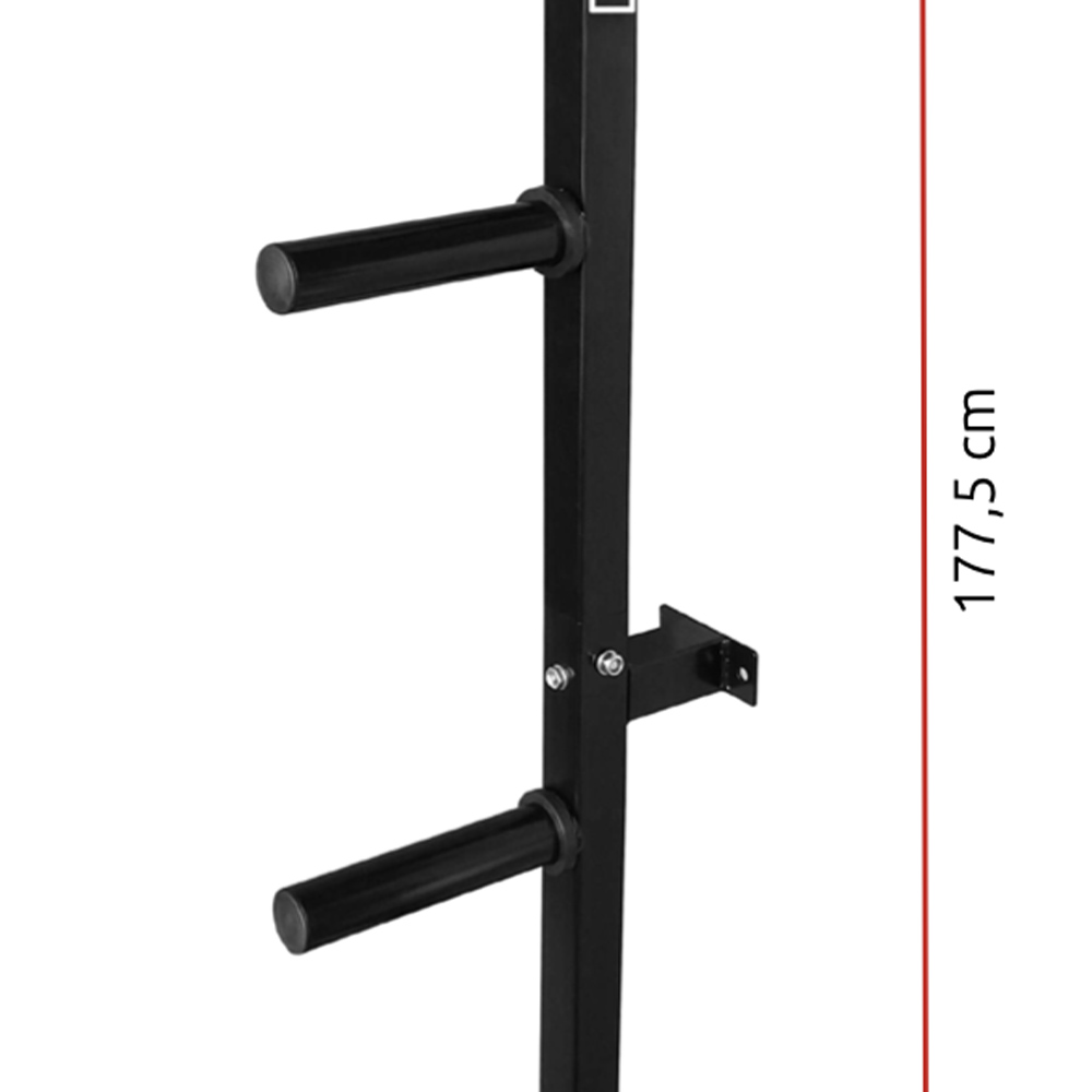 Rack de pesas y mancuernas - Diamond Rack De Discos De Pared Con 4 Posiciones